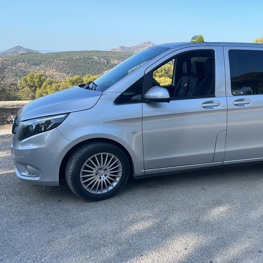 Mini Van Aegina
